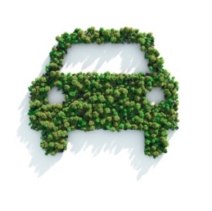 AAA Going Green